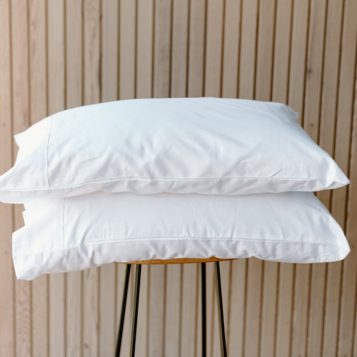 Pair of Cotton Standard Pillowcases 375TC Latte