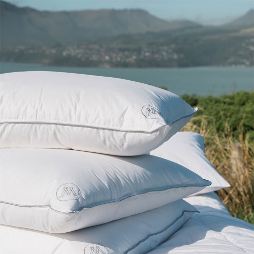 Shop Euro Pillows NZ