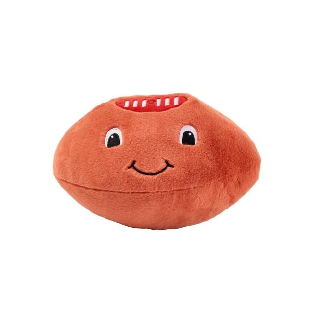 -Frankie Footy Novelty Cushion by Linen House Kids