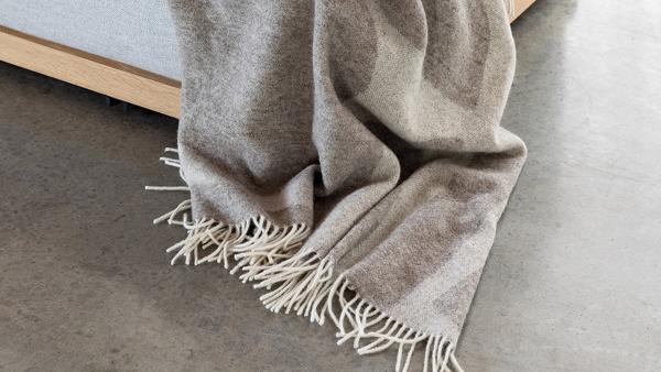 Warm Wool for Winter